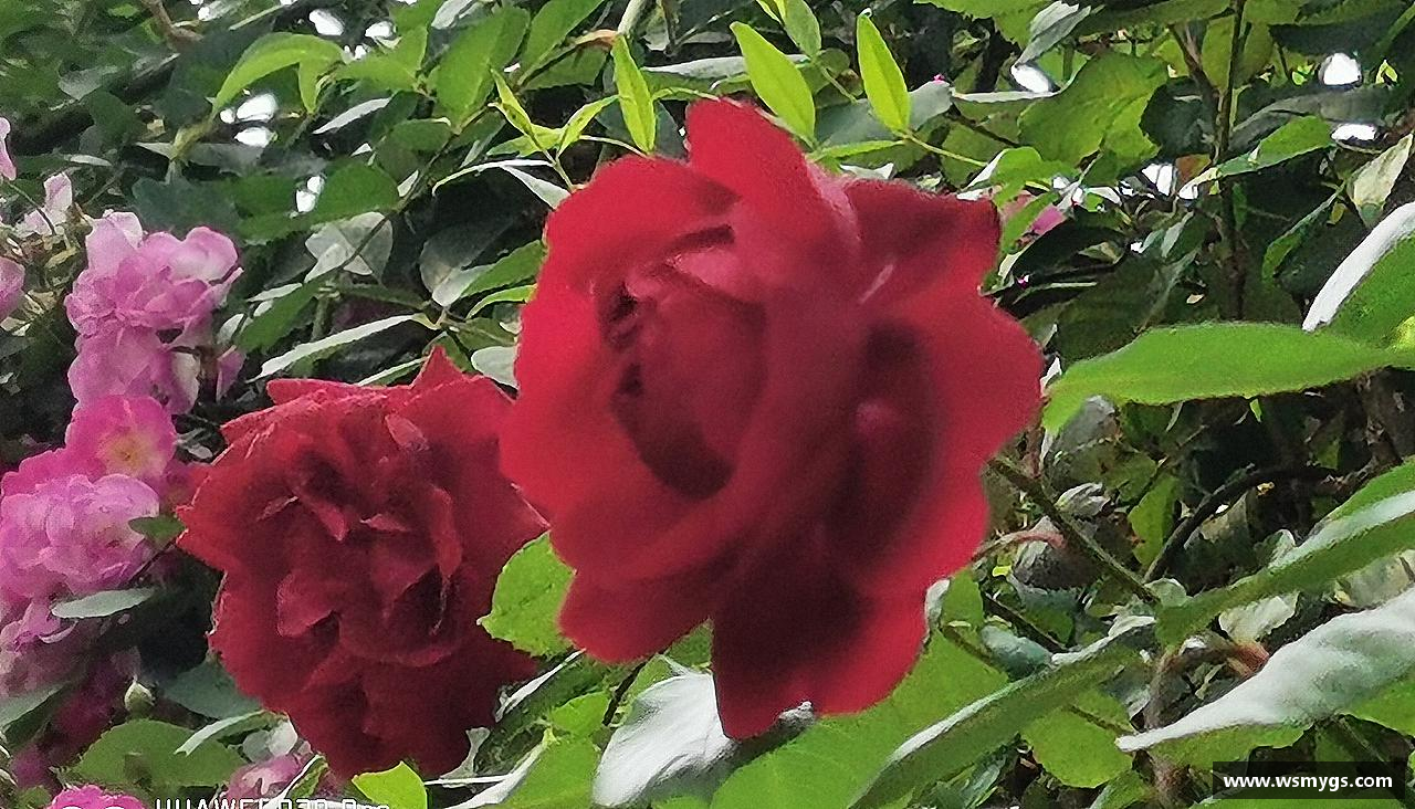 678体育平台拼搏进取，不断超越自我。